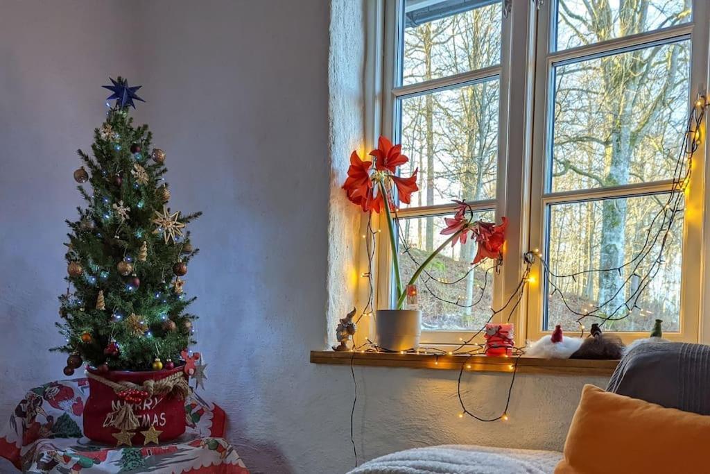 Beautiful And Cosy House Near The Lake オロフストロム エクステリア 写真